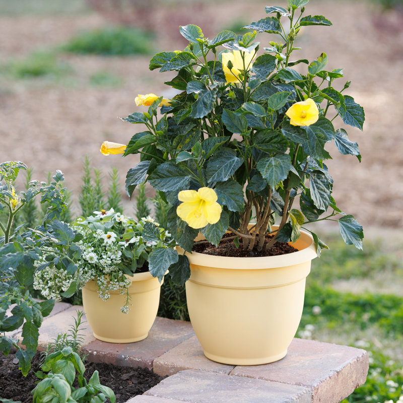 Pot à fleurs intérieur / extérieur Traditional, H 10,25 po x l 13 po x P 13 po, Jaune