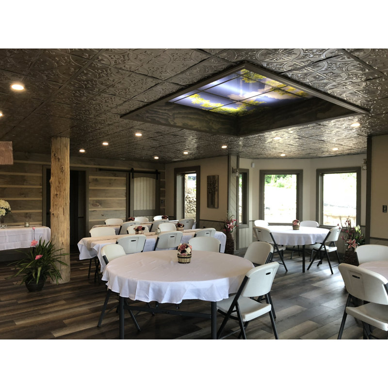 Tiptoe 2 ft. x 2 ft. Nail-up Tin Ceiling Tile, Gold Nugget