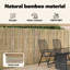 Bamboo Fence