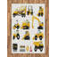 Ludowici Hand Woven Area Rug-970859949