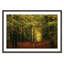 «Alvares A Forest Path», reproduction de photo encadrée
