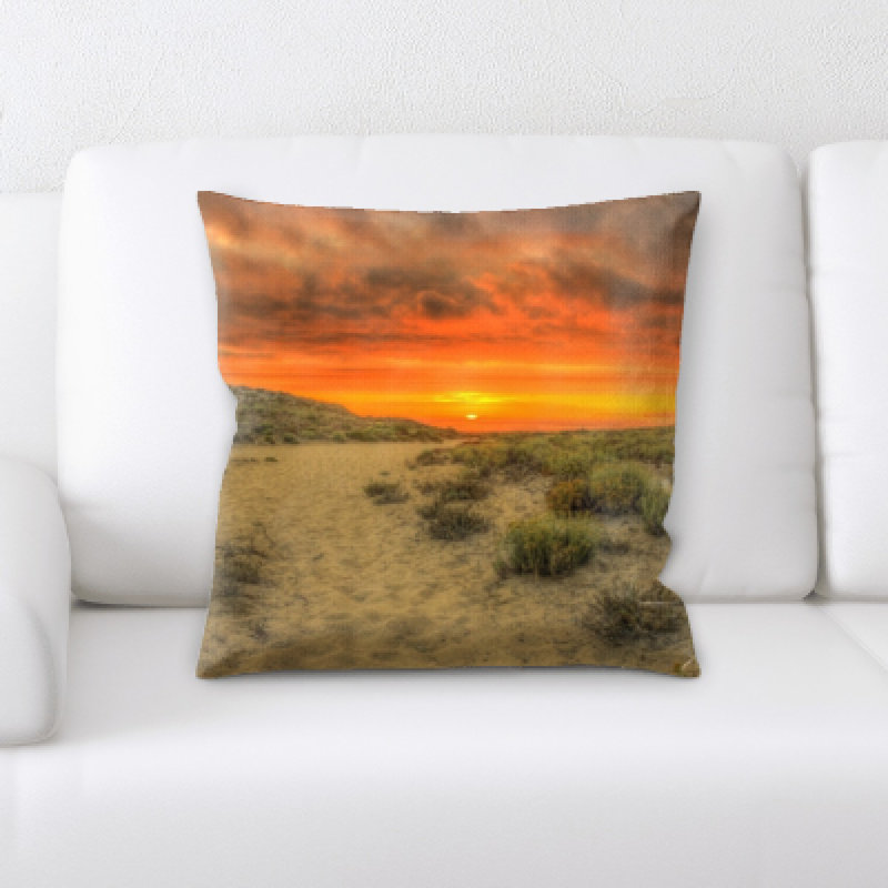Desert Microsuede Reversible Throw Pillow