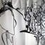 Blackout Curtain Panel Pair-109012961