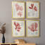 «Vintage Coral Study I», toile encadrée de qualité supérieure - prête à être accrochée-1966984650-1966984654