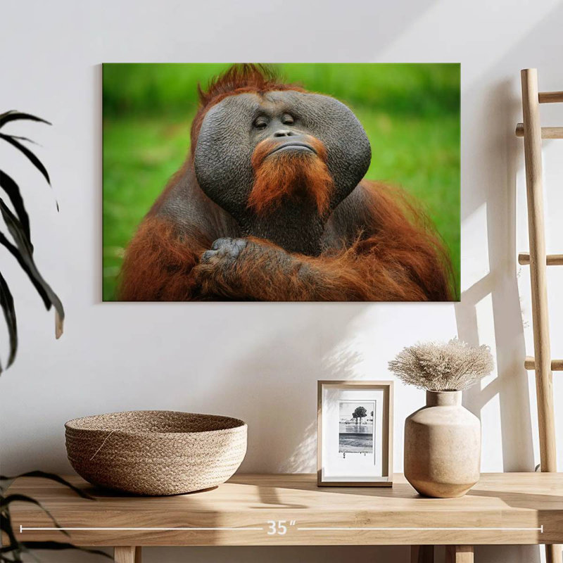 Bossy Orangutan, 16" H x 24" W