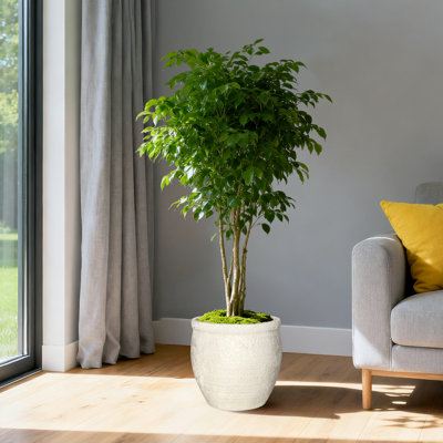 Pot de fleurs de 12 po de diamètre en Fiberstone - Pot de fleurs intérieur / extérieur Modern Farmhouse, contenant beige avec texture mate granuleuse et trou de drainage intégré | Pot décoratif pour patio, porche, jardin
