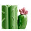 Pot à ustensiles 10 Strawberry Street Cactus