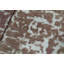 Wool Animal Print Area Rug in Rust/Blue