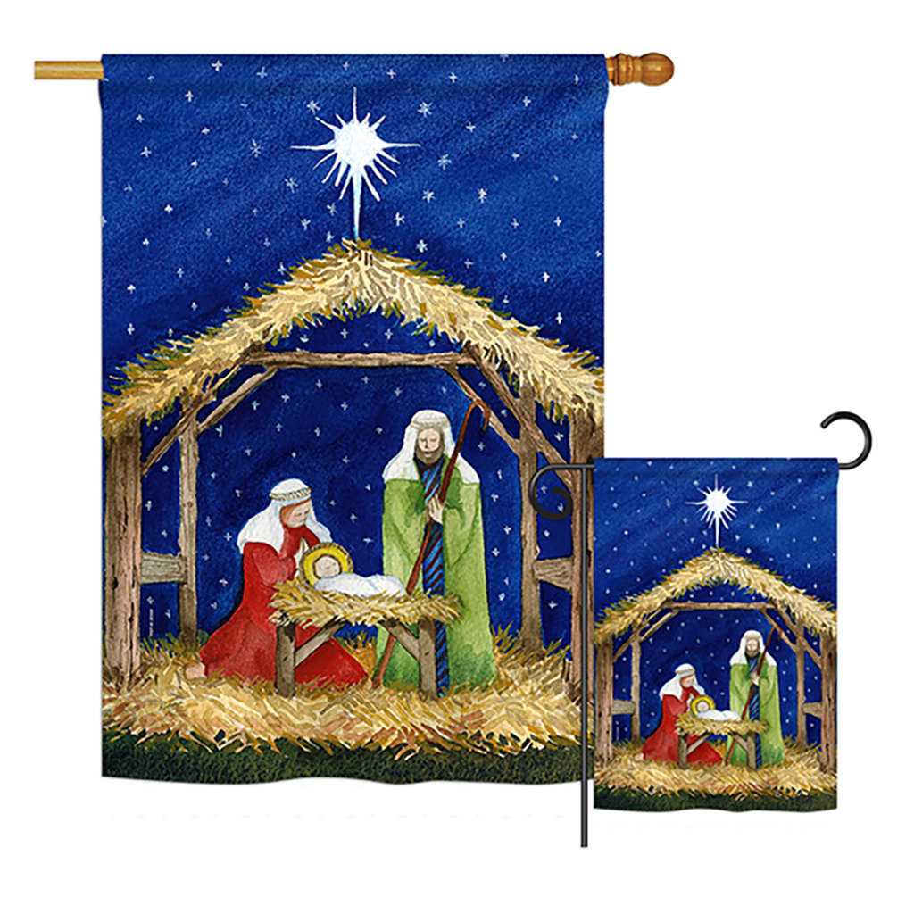 Pym Double Sided Polyester The Holiday Aisle®