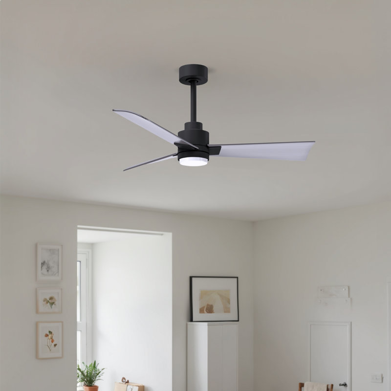 Ventilateur de plafond Alessandra, Noir mat, 42", Nickel brossé