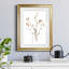 Pressed Botanical I par J Paul - reproduction de cadre photo-562179507-562179510