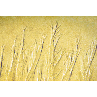 Ebb and Flow Sandscape 30x40