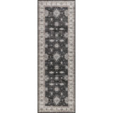 Viha SplashGuard Traditional Bordered Machine Washable Area Rug