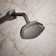 Occasion Single-Function Showerhead