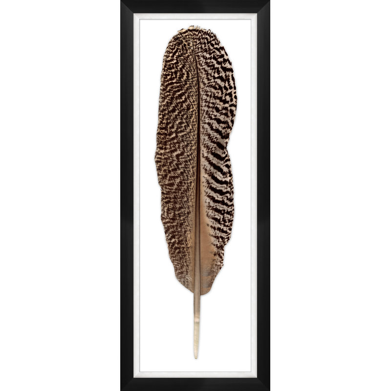Mottled Peacock Feather 2 Print