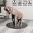 Tempered Glass Table Top-1422266123