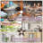42" Wet-Rated Plug-In Outdoor Ceiling Fan with Light for Patio, Remote and Wood Blades-1756768585