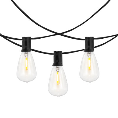Aubreeana Outdoor 10 - Bulb 120'' Plug-in String Light