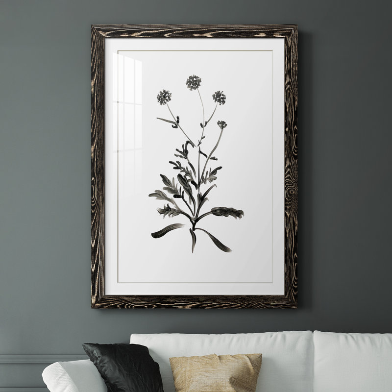 Inky Botanical I - peinture encadrée, H 37,5 po x l 27,5 po x P 1,5 po, Cadre noir
