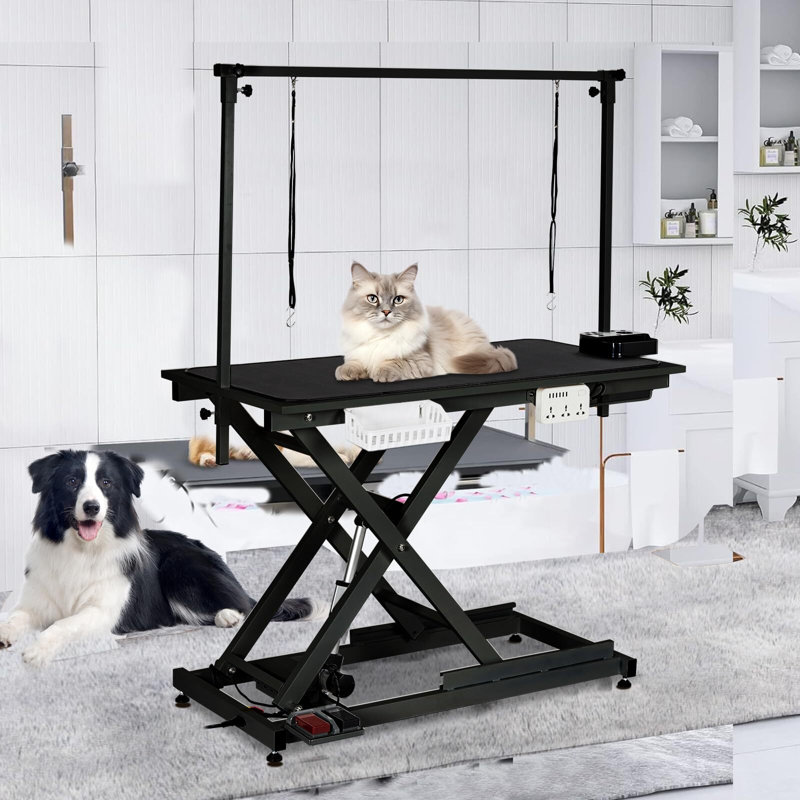 Table de toilettage électrique pour chien 50 po, robuste et réglable en hauteur, Noir