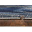Tapis gris / bleu à motif abstrait Strouth-30689417