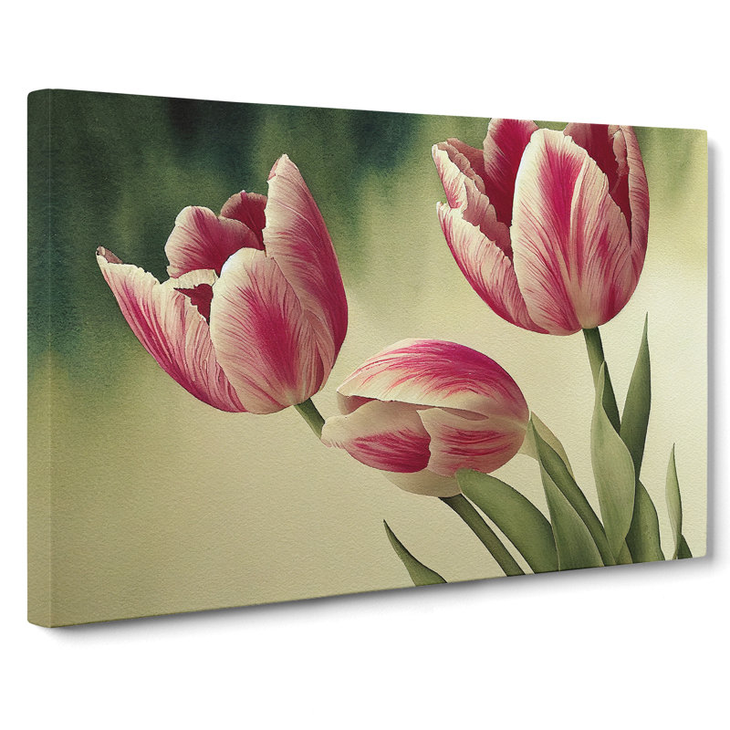 Spectacular Tulip Flowers - Wrapped Canvas, 50cm H x 76cm W x 3cm D
