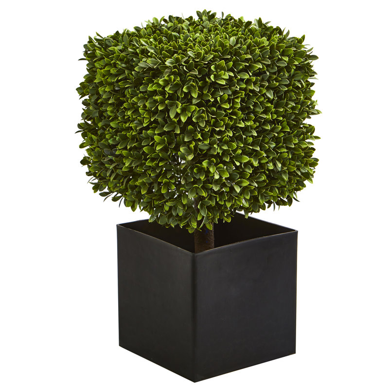 Plante buis artificielle en pot de fleurs