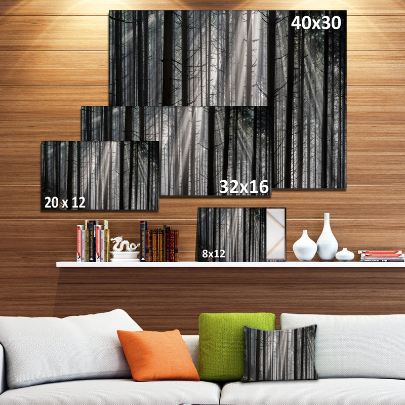 Sunbeams Through Dark Forest Landscape Canvas Print