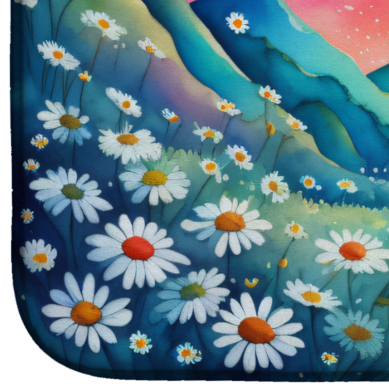 Drying Mat