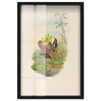 Lily Pond Shadowbox Print Botanical Art by Art Remedy