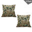 Oreiller réversible en tissu Ambesonne-99019267-99019266