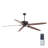 Asmus 70'' Ceiling Fan