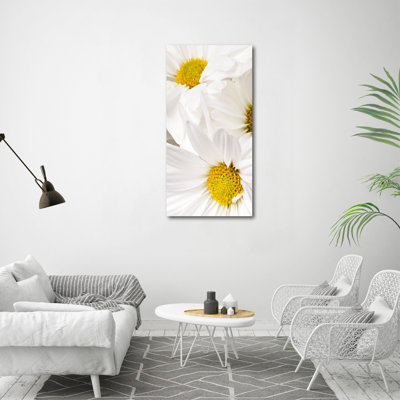 Daisies - Wrapped Canvas Print