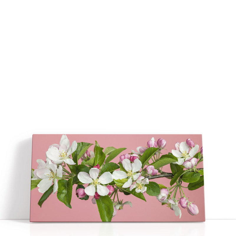Fleur de pommier - reproduction d'art sur toile, H 10 po x l 20 po