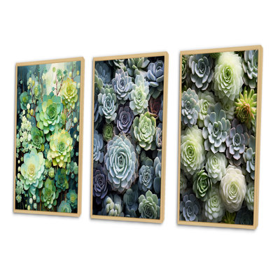 " Green Succulents Flowers Serene Succulents II " by Designart 3 - Pieces