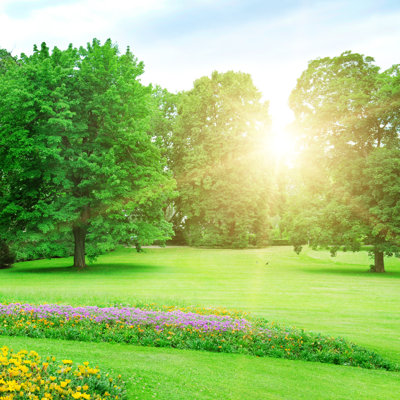 Summer Park - Photographie sur toile tendue