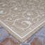 Tapis d'intérieur / extérieur champagne / taupe à motif floral Ariadne-21250508