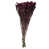 Purple Orchid is out of stock