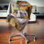Coussin décoratif Photographie-1226799310-1226799346