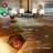 Auriella 33'' Ceiling Fan with Light Kit