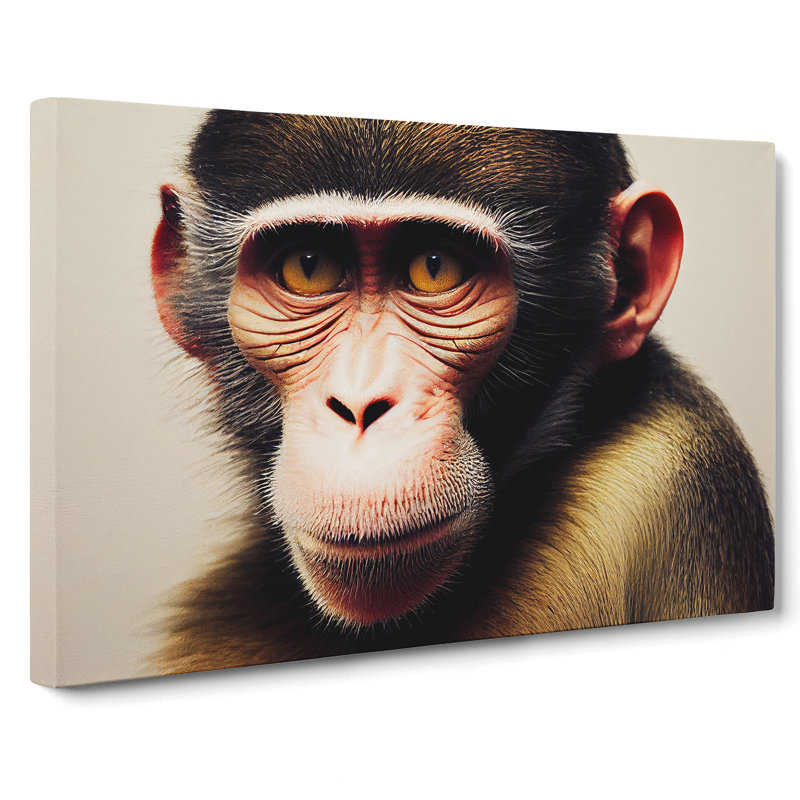 Monkey - Wrapped Canvas, 50cm H x 76cm W x 3cm D
