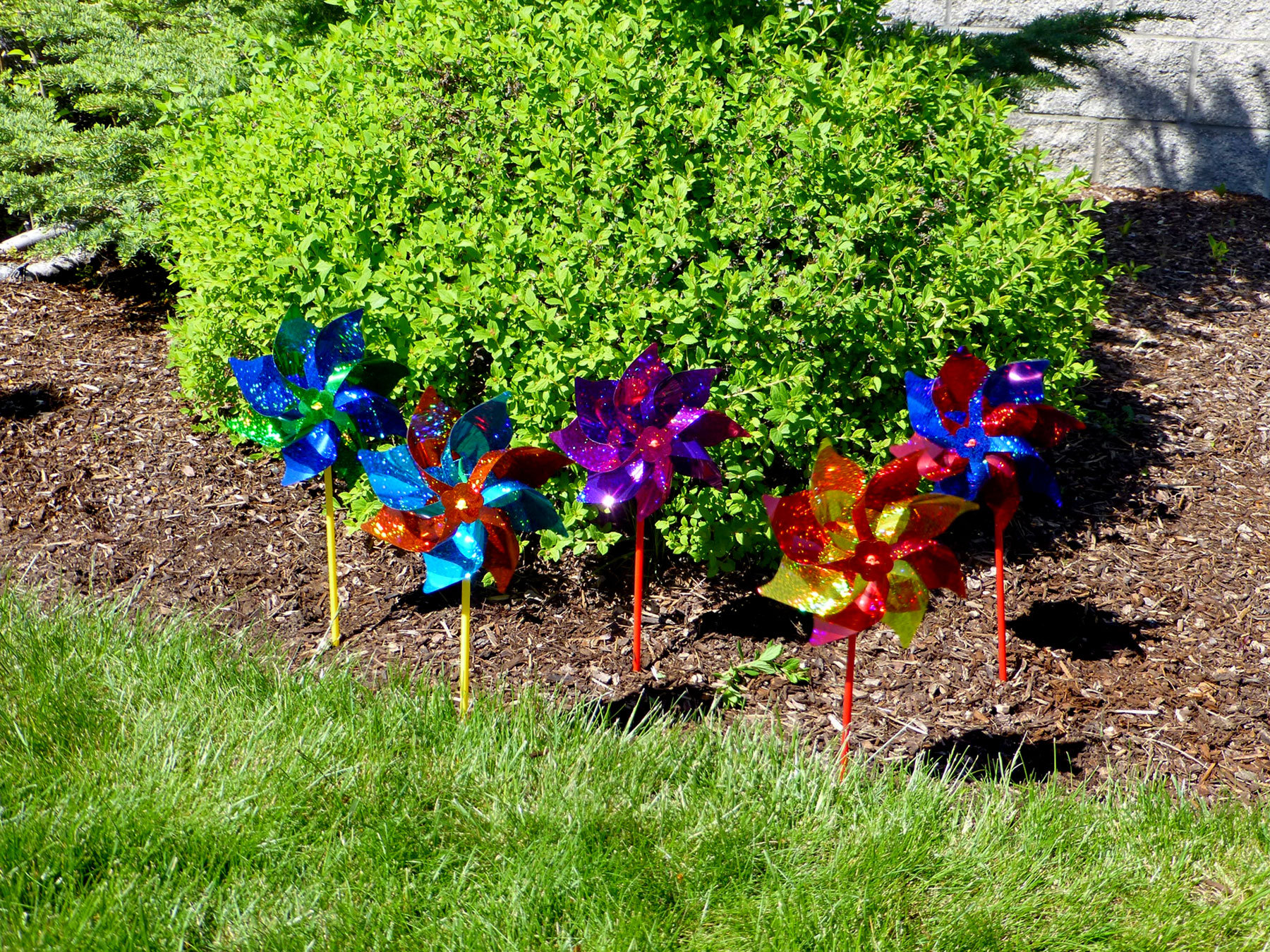 Harriet Bee Classic Mylar Pinwheels & Reviews | Wayfair