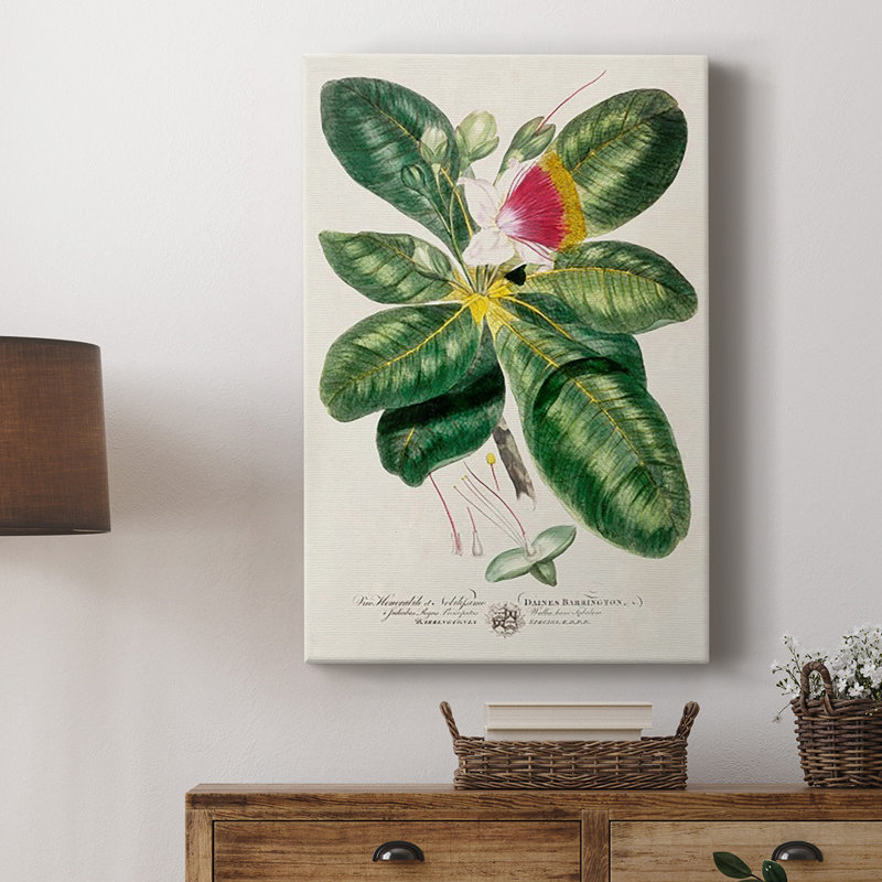 Peinture botanique impériale tropicale I sur toile, H 18 po x l 12 po x P 1 po