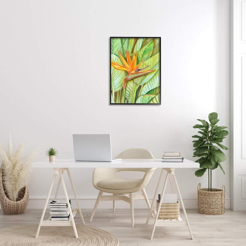 Fleur oiseau de paradis, H 30 po x l 24 po x P 1,5 po, Giclée encadrée noir minuit