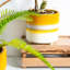 Ceramic Pot Planter-63880903-63880906