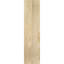 Legacy Craftsman Perspectives-109289920-112677210