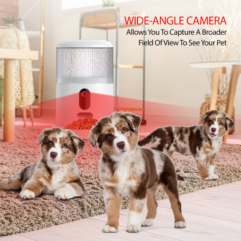 Mangeoire pour animaux 4L avec caméra vidéo 2K, audio bidirectionnel, vision nocturne, 5Ghz et Wi-Fi double bande 2,4Ghz