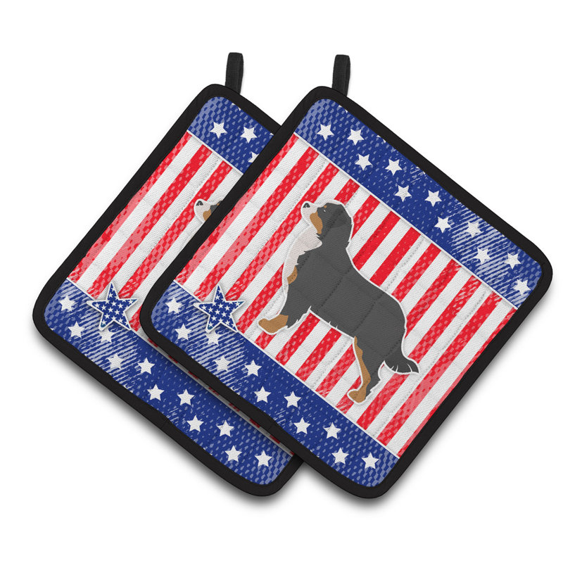 Trinx Patriotic Striped Polyester Potholder