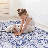 MAVAL Blue Washable Rug 5X8 Area Rug (Blue, 5' X 8')-1946934642