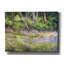 Art mural sur toile Epic Graffiti «Springtime Woods» par Kathleen Parr-106415794